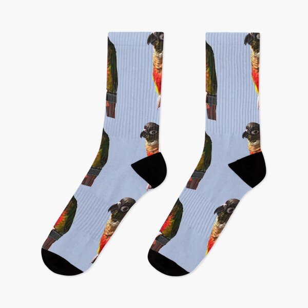 Item preview, Green Cheek Conure design | Conure | Small Parrot | Parakeet | Parrot lover designed and sold by TatianaLG.