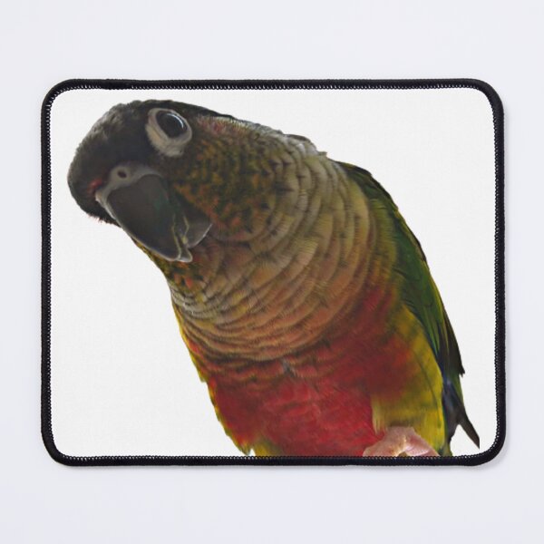 Item preview, Green Cheek Conure design | Conure | Small Parrot | Parakeet | Parrot lover designed and sold by TatianaLG.