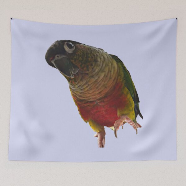 Item preview, Green Cheek Conure design | Conure | Small Parrot | Parakeet | Parrot lover designed and sold by TatianaLG.