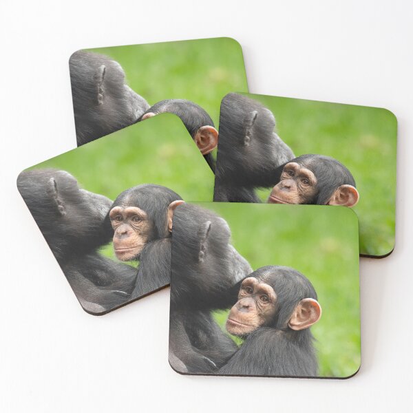 Item preview, Mother and Young designed and sold by Darren Wilkes.