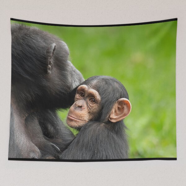 Item preview, Mother and Young designed and sold by Darren Wilkes.
