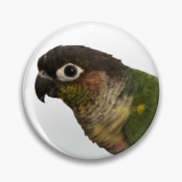 Item preview, Green Cheek Conure design | Conure | Small Parrot | Parakeet | Parrot lover designed and sold by TatianaLG.