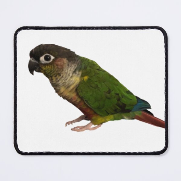 Item preview, Green Cheek Conure design | Conure | Small Parrot | Parakeet | Parrot lover designed and sold by TatianaLG.