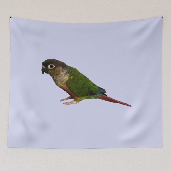 Item preview, Green Cheek Conure design | Conure | Small Parrot | Parakeet | Parrot lover designed and sold by TatianaLG.