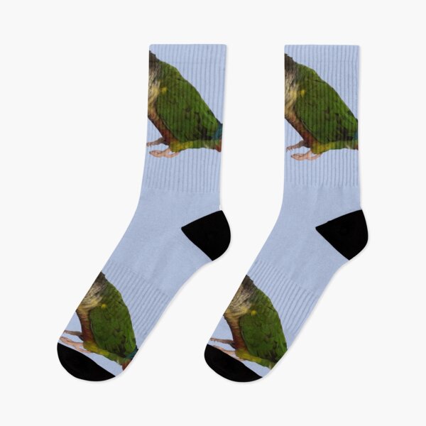 Item preview, Green Cheek Conure design | Conure | Small Parrot | Parakeet | Parrot lover designed and sold by TatianaLG.
