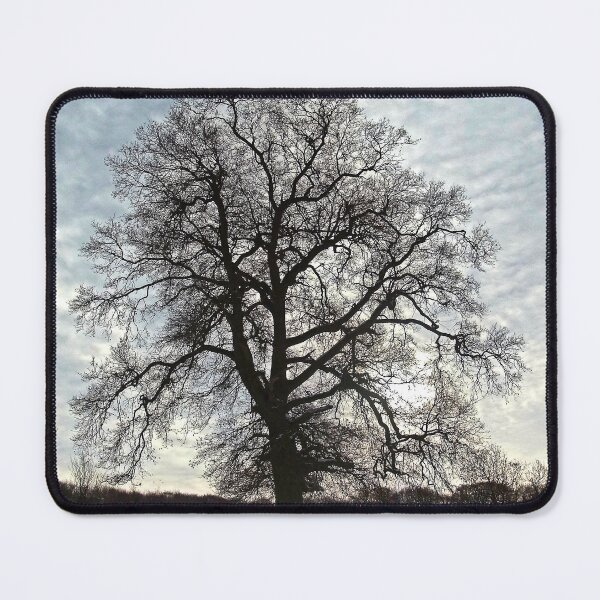 Item preview, A Mackerel Sky for New Year's Day designed and sold by Viv Thompson Photography .