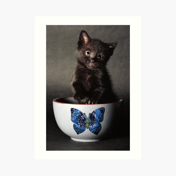 Little Butterfly Guy Art Print