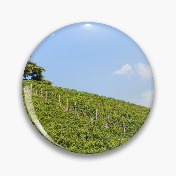 Item preview, Panoramic countryside in Piedmont region, Italy. Scenic vineyard hill close to Barolo city. designed and sold by Paolo Modena Photography    -   Fine Italian Art.