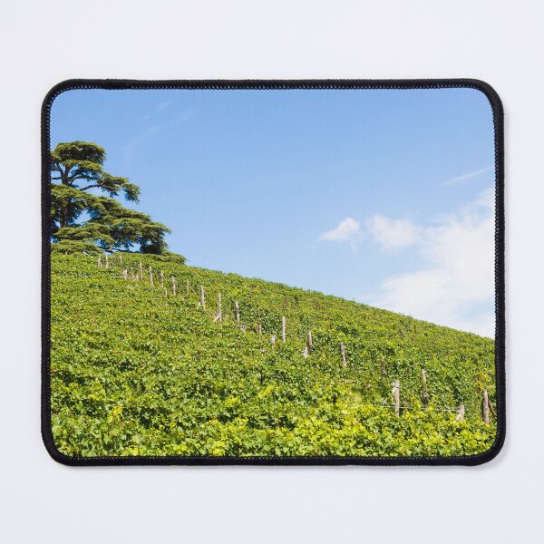 Item preview, Panoramic countryside in Piedmont region, Italy. Scenic vineyard hill close to Barolo city. designed and sold by Paolo Modena Photography    -   Fine Italian Art.