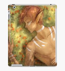 Oblivion iPad Case/Skin