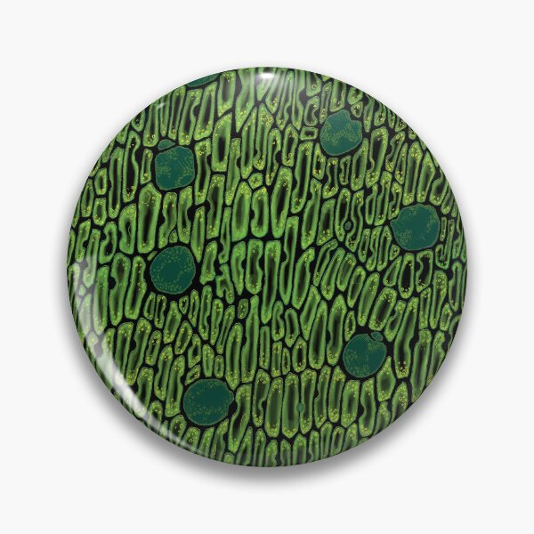 Venus Flytrap Cells in Neon Pin