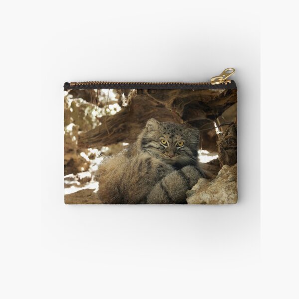 Item preview, Fellini the Pallas's cat from Italy designed and sold by Manulization.