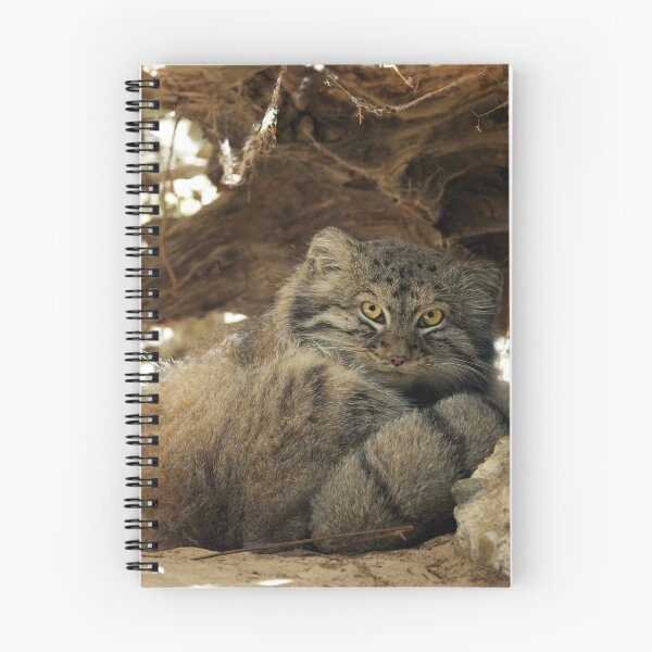 Item preview, Fellini the Pallas's cat from Italy designed and sold by Manulization.