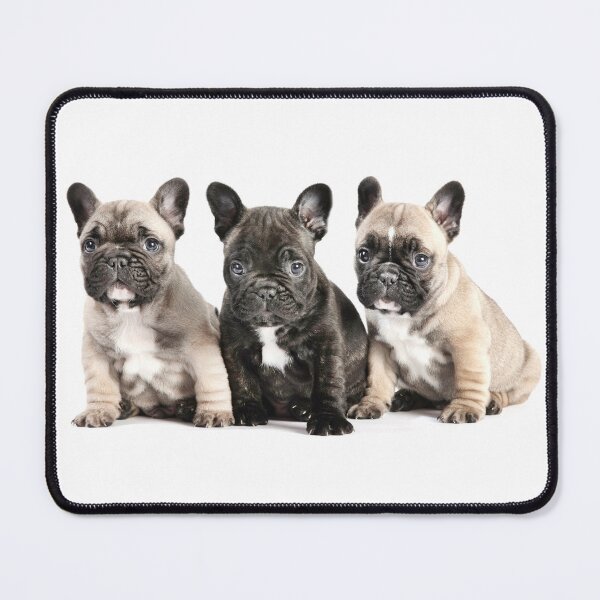Item preview, Puppy Pals designed and sold by ernest123.