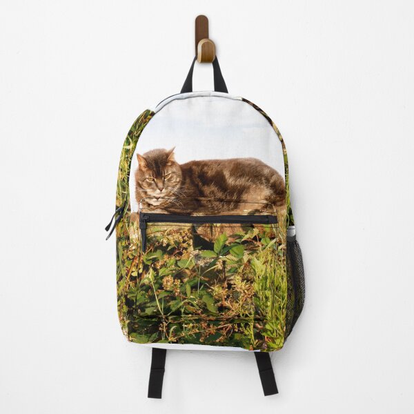 Item preview, Purr designed and sold by ernest123.