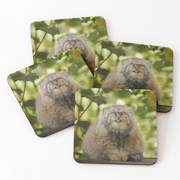 Item preview, Her Majesty Calypso the Pallas's cat designed and sold by Manulization.