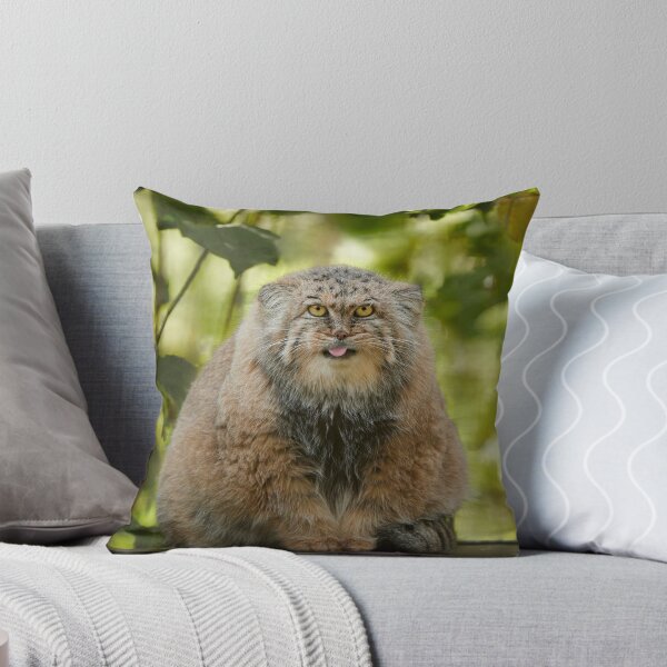 Item preview, Her Majesty Calypso the Pallas's cat designed and sold by Manulization.