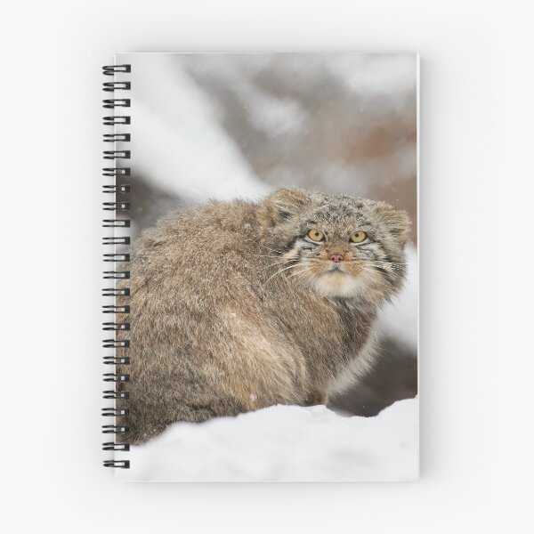 Item preview, Snowflake the Pallas's cat kitten designed and sold by Manulization.