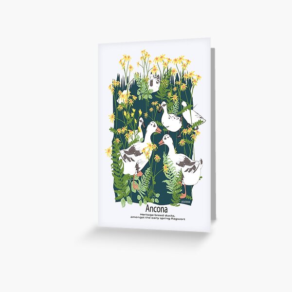Item preview, Ancona ducks among the ragweed, in spring designed and sold by Artdustdesigns.