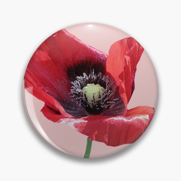 Item preview, Field Poppy designed and sold by Sharon Perrett.
