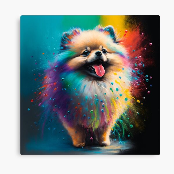 Pomeranian canvas art hotsell