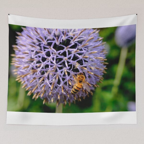 Item preview, Bee On Small Globe Thistle 5 designed and sold by Robert Alsop.