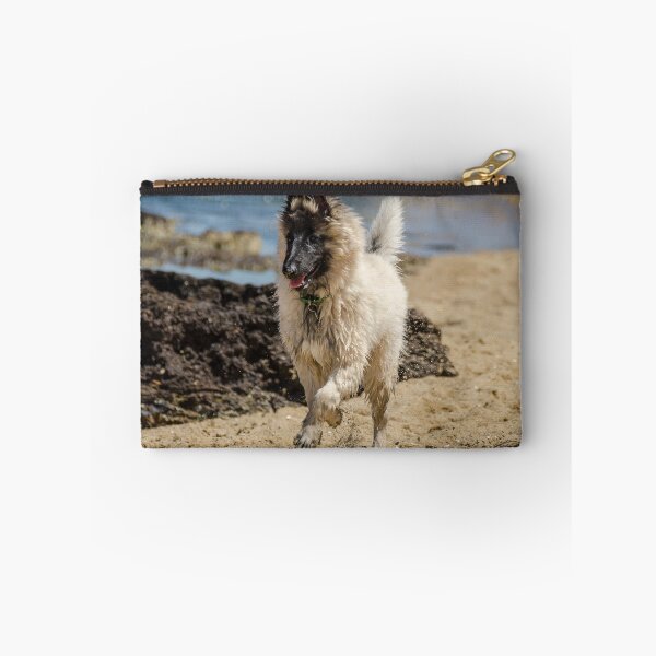 Item preview, 2018 Grey Tervueren designed and sold by Belgian Shepherd Dog Club of QLD Inc.