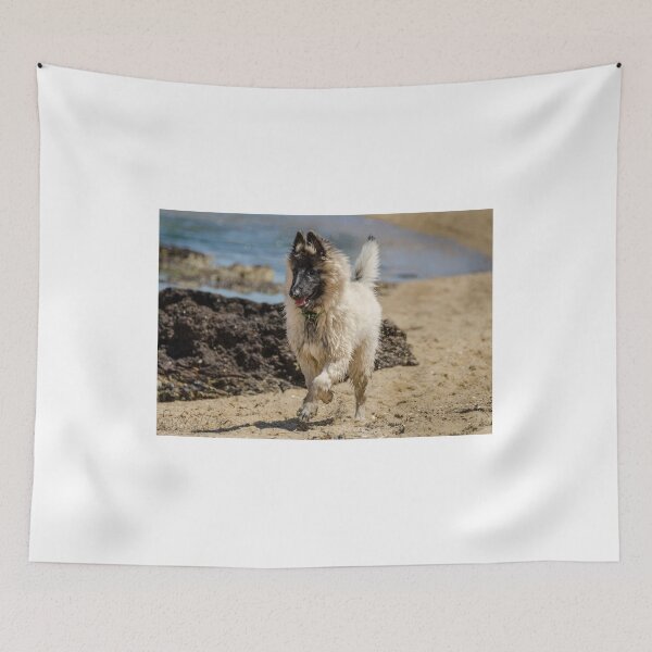 Item preview, 2018 Grey Tervueren designed and sold by Belgian Shepherd Dog Club of QLD Inc.