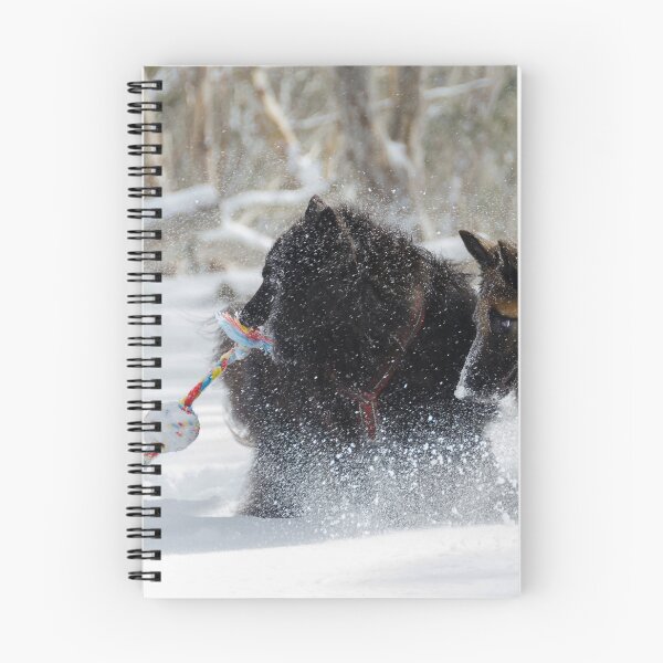 Item preview, 2018 Groenendael and Tervueren in the snow designed and sold by Belgian Shepherd Dog Club of QLD Inc.