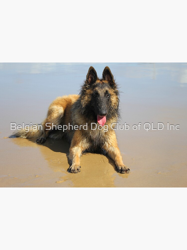 2018 Tervueren at the beach