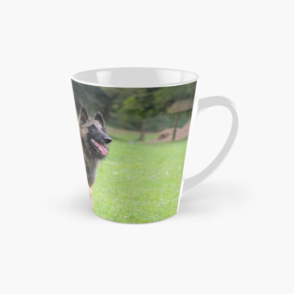 Item preview, 2018 Tervueren at the park designed and sold by Belgian Shepherd Dog Club of QLD Inc.