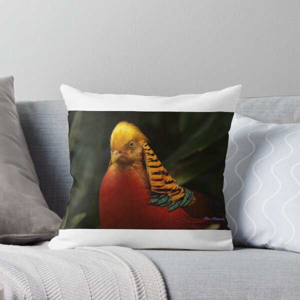 Item preview, Colourful bird designed and sold by Rebeky23.