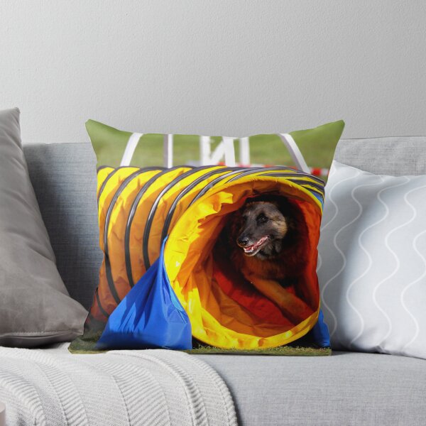 Item preview, 2015 Agility Tervueren designed and sold by Belgian Shepherd Dog Club of QLD Inc.