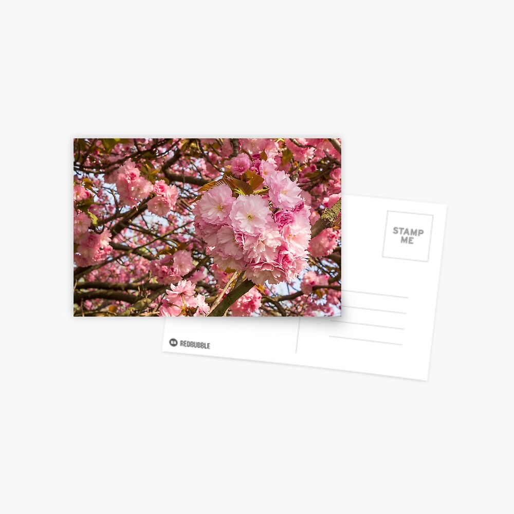 Item preview, Postcard designed and sold by mike-pellinni.