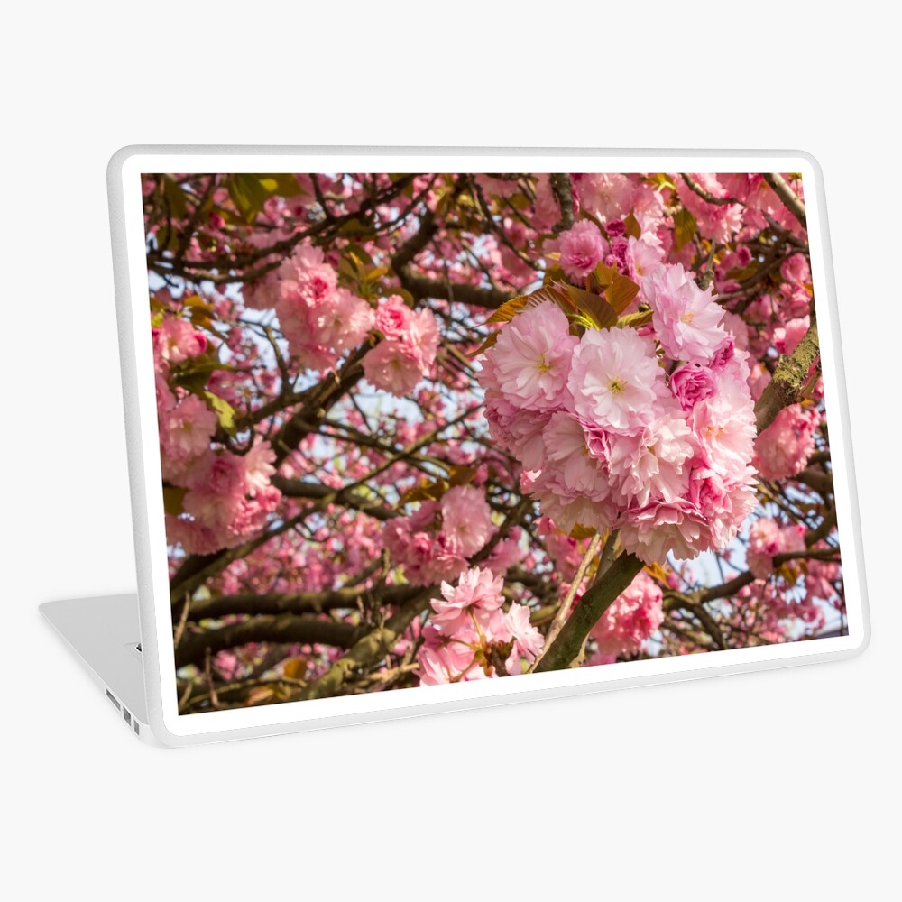 Item preview, Laptop Skin designed and sold by mike-pellinni.