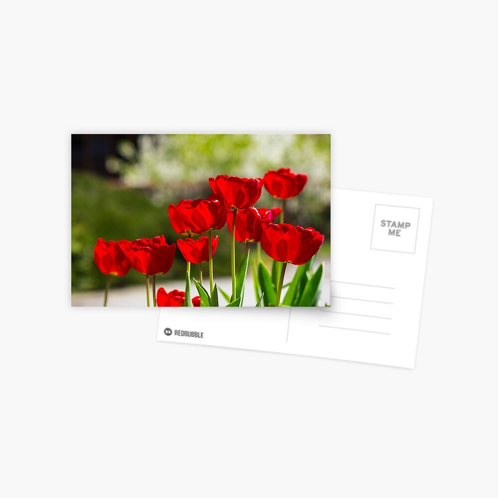 Item preview, Postcard designed and sold by mike-pellinni.