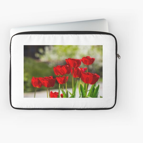 red tulips on color blurred background Laptop Sleeve