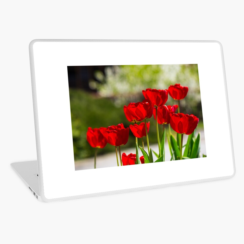 Item preview, Laptop Skin designed and sold by mike-pellinni.
