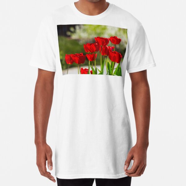 red tulips on color blurred background Long T-Shirt