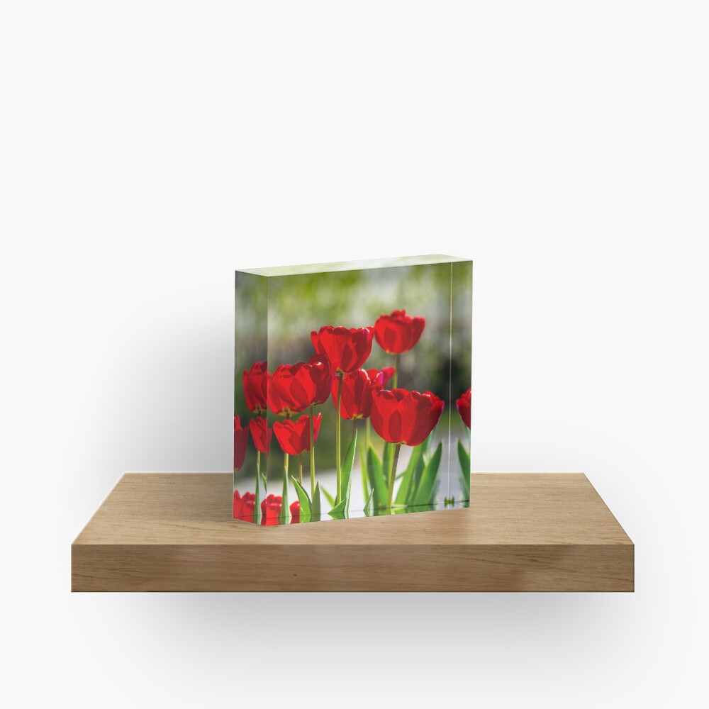 Item preview, Acrylic Block designed and sold by mike-pellinni.