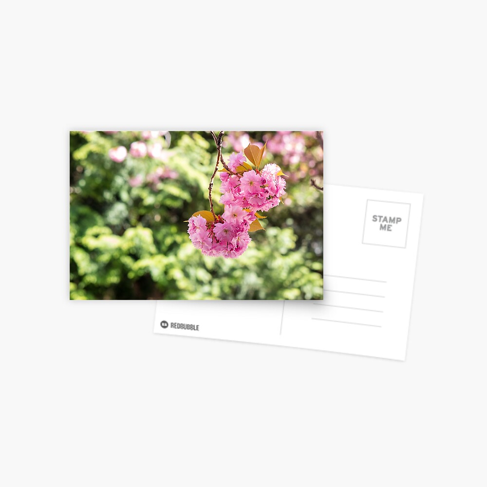 Item preview, Postcard designed and sold by mike-pellinni.