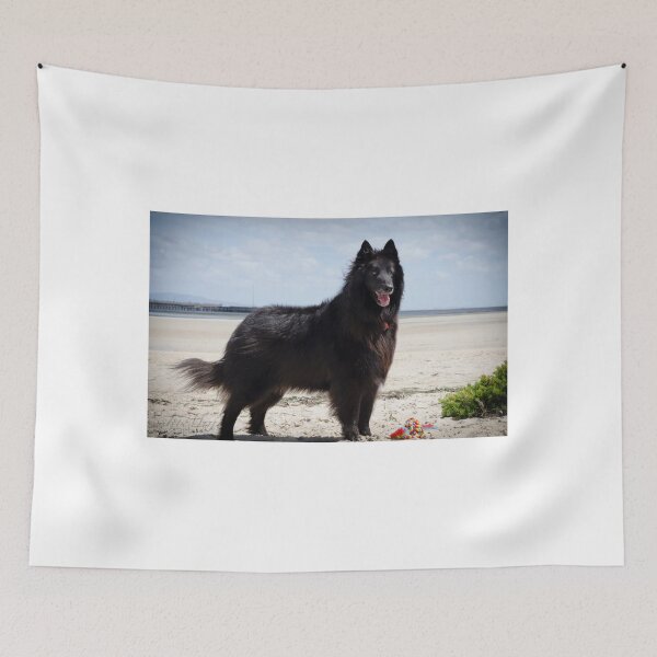 Item preview, 2018 Groenendael designed and sold by Belgian Shepherd Dog Club of QLD Inc.