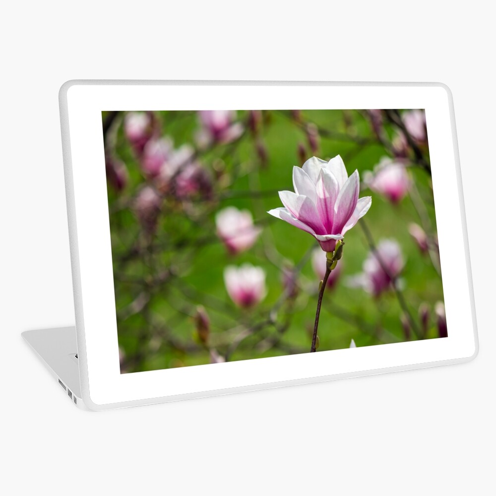 Item preview, Laptop Skin designed and sold by mike-pellinni.