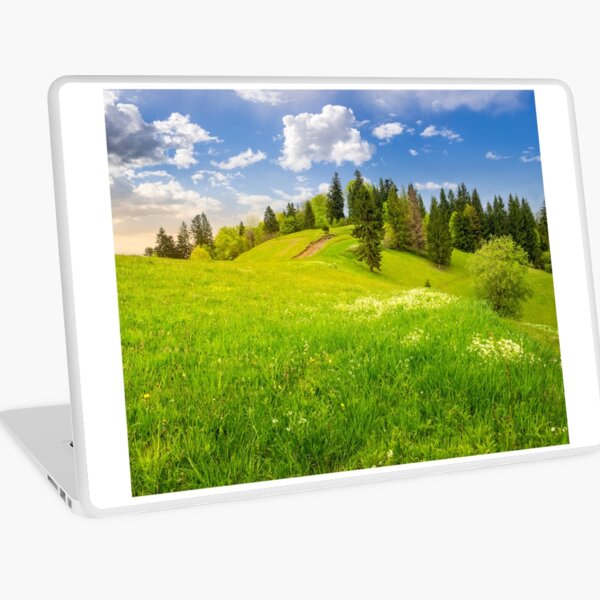 few trees on hillside meadow Laptop Skin