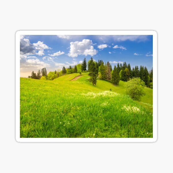 few trees on hillside meadow Sticker