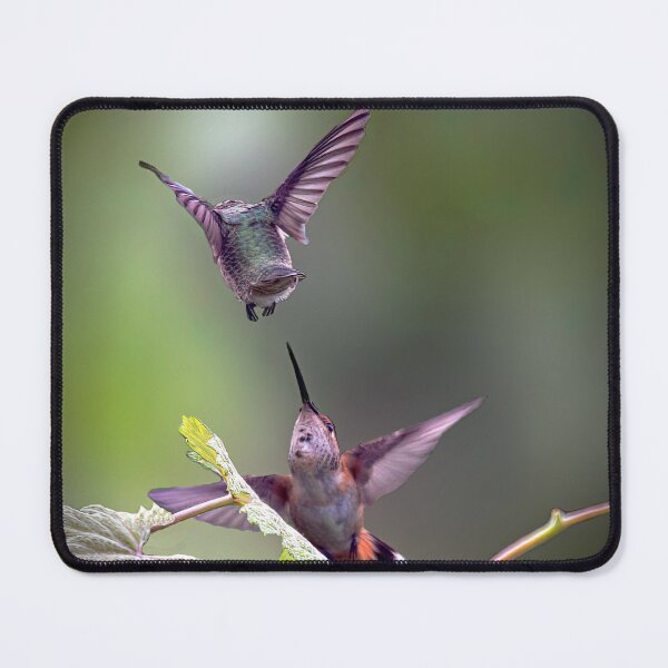 Item preview, Hummingbird Encounter designed and sold by CarolM.