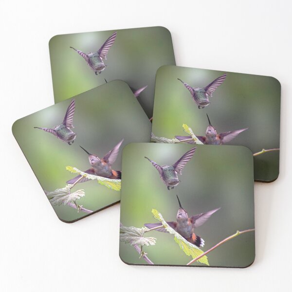 Item preview, Hummingbird Encounter designed and sold by CarolM.