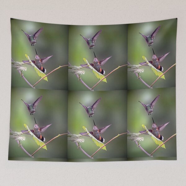 Item preview, Hummingbird Encounter designed and sold by CarolM.