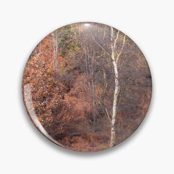 Item preview, Orange silence (autumnal trees) designed and sold by morganimagery.