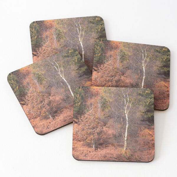 Item preview, Orange silence (autumnal trees) designed and sold by morganimagery.